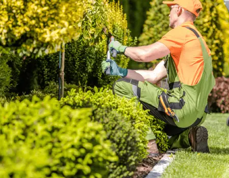 Tampa Commercial Landscaping Contractor