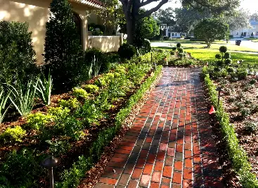 Tampa Landscaping Refresh